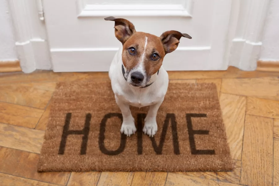 How to Make Doormat at Home Easily? (Fun DIY)