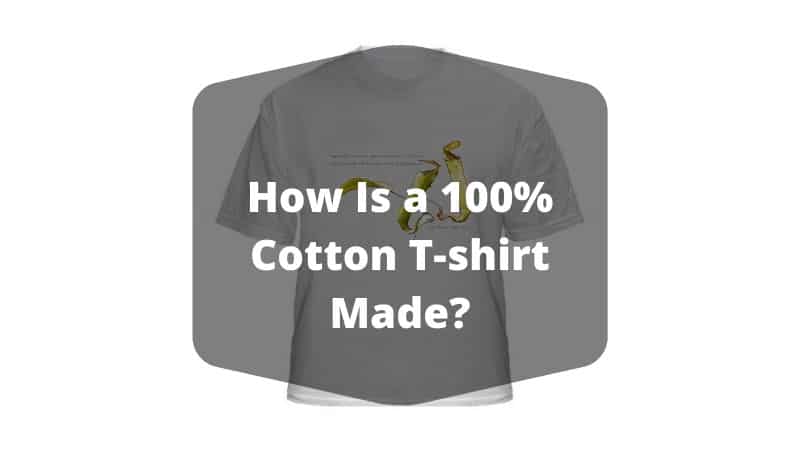 How Is a 100% Cotton T-shirt Made?