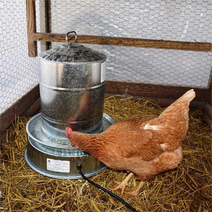 Chicken Waterer