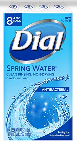 Dial Antibacterial Bar Soap, Spring Water