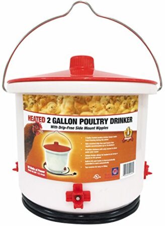 Farm Innovators HB-60P Heated 2-Gallon Poultry Drinker