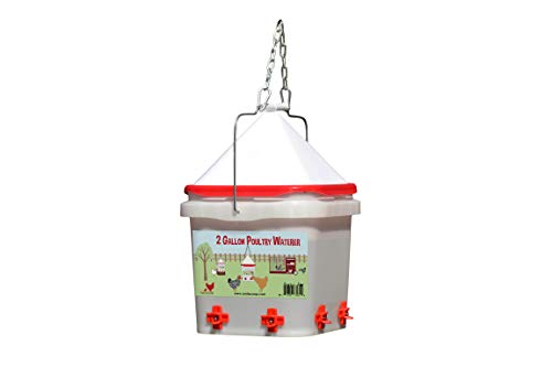 RentACoop 2 Gallon Chicken Waterer – Horizontal Nipple Setup