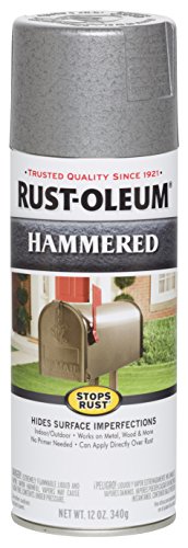 Rust-Oleum 7213830 Spray Paint