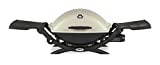 Weber 47100001