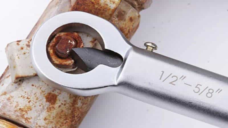 What to Look for Before Buying a Nut Splitter?
